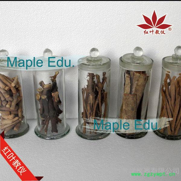 中药生药标本 个子药 标本馆建设图2