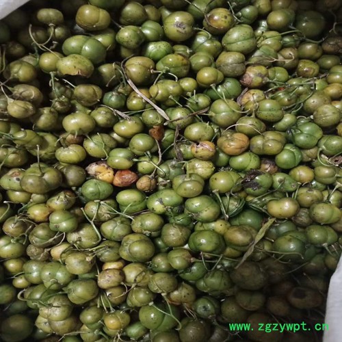 鑫燎三农 黄精苗图片 中药材三年黄精苗图2