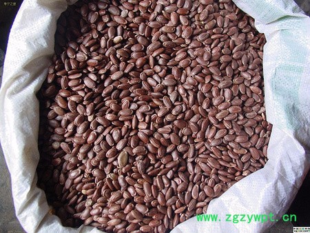 质量好的中药材种子。中药材种子厂家图3