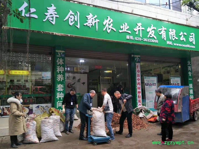 百科 中药材种植2019农村致富新项目（你种我收）图2