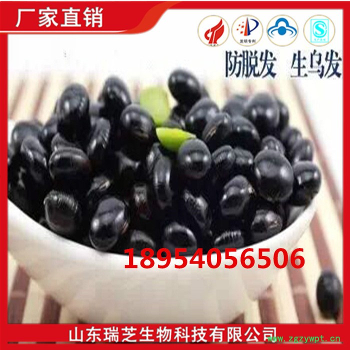 切片厂家 承接牛樟芝菌丝体片OEM加工 灵芝切片，中药材切片粉碎