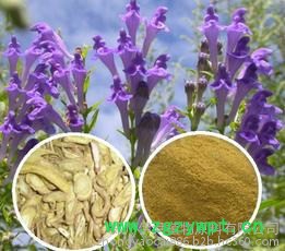 厂家加工中药提取物图7