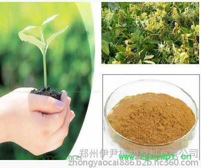 厂家加工中药提取物图4