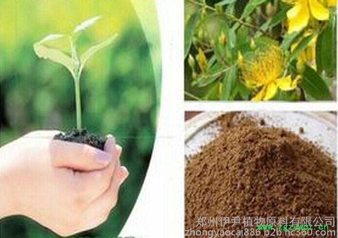 厂家加工中药提取物图2