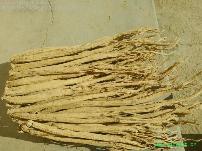 特级无硫特大党参 中药批发 甘肃地产药材 无硫全干新货 药食同源图2