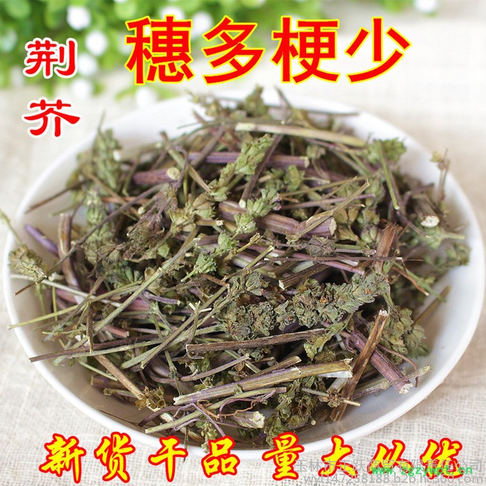 优选 干货 荆芥 另出售各种原生中药材 产地直发 物美价廉图2