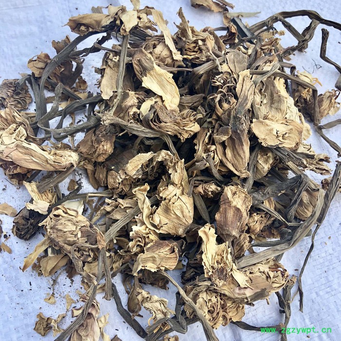 冷背中药材 睡莲花 大货直销图3