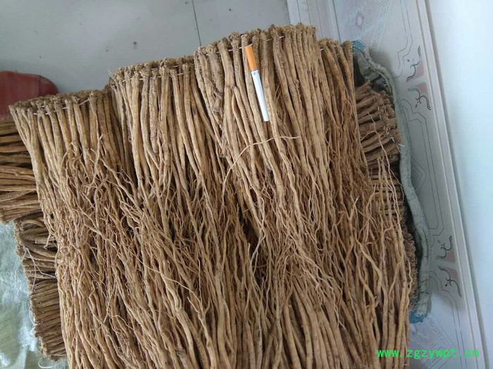 中药材原材料党参图4