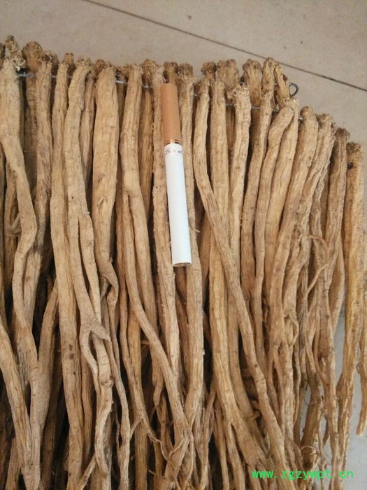 中药材原材料党参