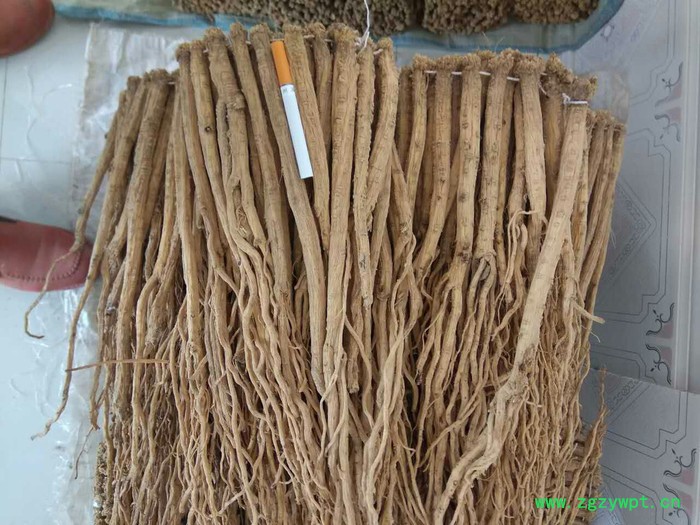 中药材原材料党参图2