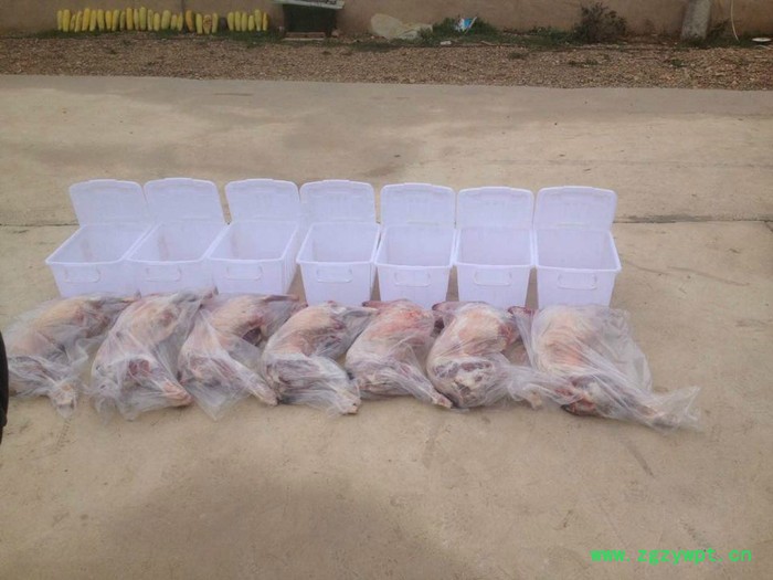 陇原e生态黑山羊，食草鸡，土鸡蛋，道地中药材图2