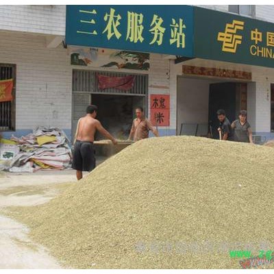 供应鸿运1级槐米，中药饮片，中药粉， 槐花 槐米批发