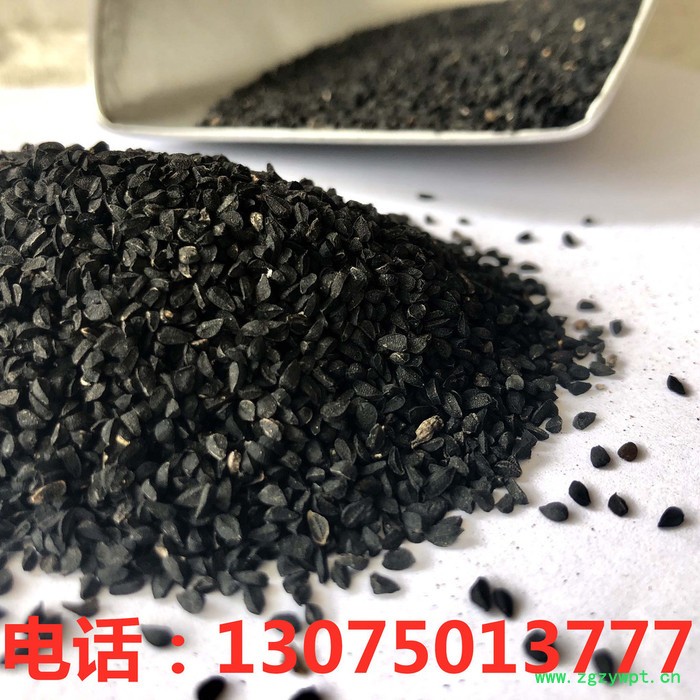 冷背中药材批发 黑种草子 藏药黑种草子图4