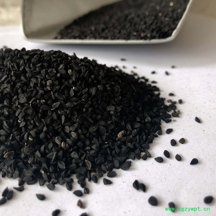冷背中药材批发 黑种草子 藏药黑种草子图3