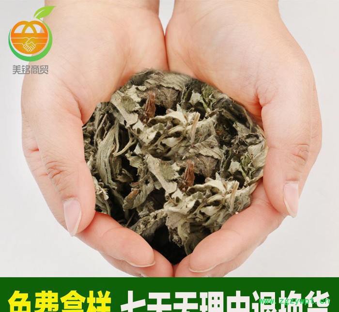 直销艾叶草 薪艾 红花艾叶泡脚 艾草中草药散装中药材