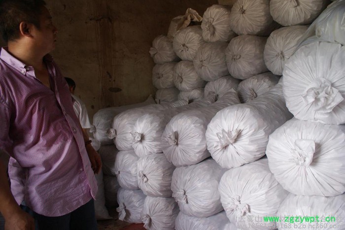 云雾山川佛手，植物原药材，中药材佛手，四川重庆中药材基地，四川重庆佛手基地图2