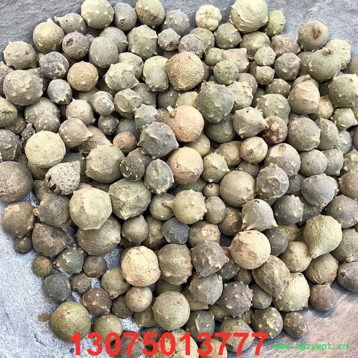 **中药材批发没食子 冷背中药材墨石子 没石子量大从优干净无杂图3