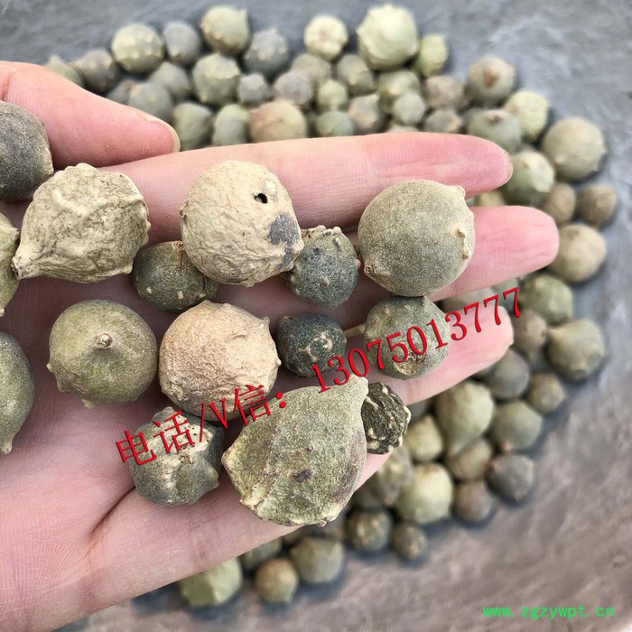 **中药材批发没食子 冷背中药材墨石子 没石子量大从优干净无杂图2
