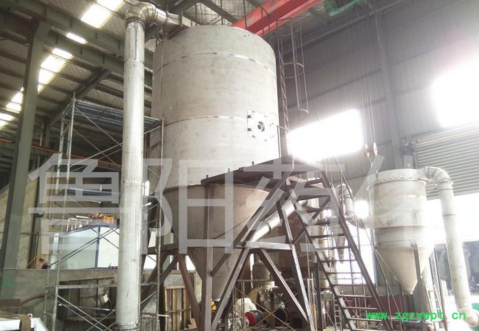 常州鲁阳药化**  中药浸膏喷雾干燥机 价廉质保单位图2