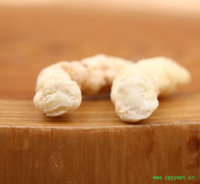 中药材 土虫草 草食蚕 地蚕参 天然滋补药膳 褒汤养生 化痰