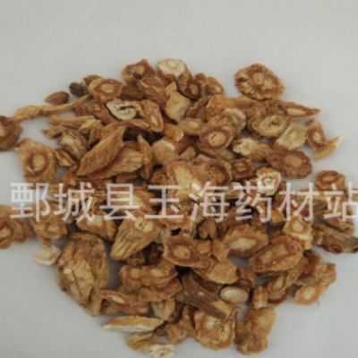 防风 甘肃防风 玉海药材批发各种中药材