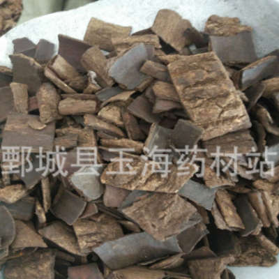 杜仲 四川炒杜仲 玉海药材批发各种规格药材