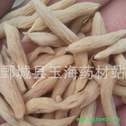 麦冬 寸冬 无米子 批发各种药材图2