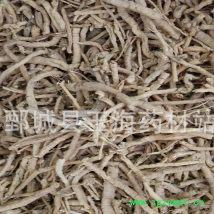 远志 玉海药材批发各种药材图2