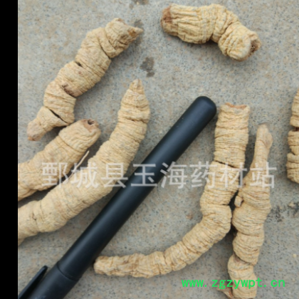 巴戟天 巴戟肉 抽芯好 玉海药材 批发各种药材图2