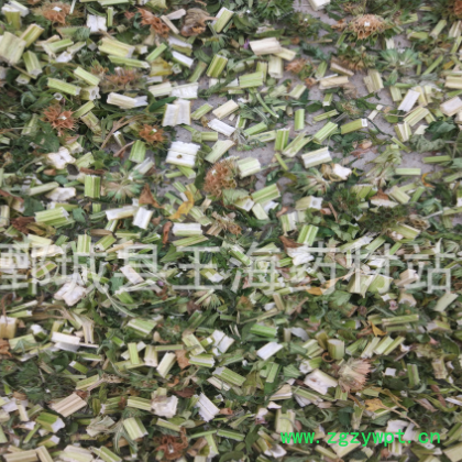 益母草 坤草 玉海药材批发各种中药材图2