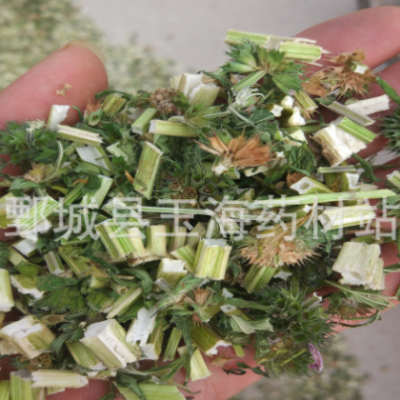 益母草 坤草 玉海药材批发各种中药材