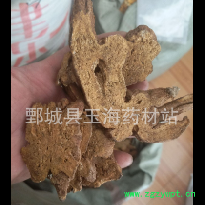 白术 麸皮炒白术 有蜂窝 玉海药材 批发各种药材图3