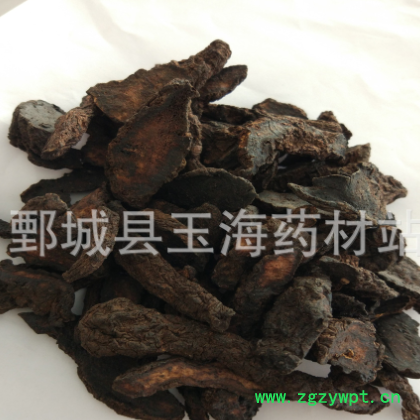 生地 生地黄 玉海药材批发各种中药材图2