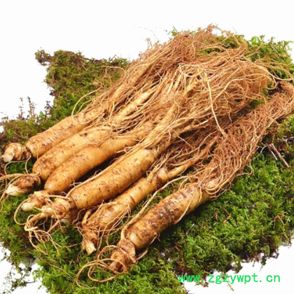 【新鲜人参】长白山人参批发 产地直供 东北特产 鲜人参 泡酒煲汤图3