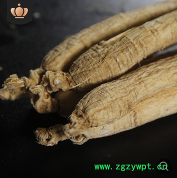 集安边条人参长白山生晒白参 产地直发干林下参 人参会展礼品图3