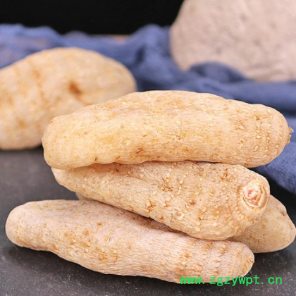 批发云南昭通天麻各种规格大货天麻 天麻片量大价优农产品加工图2