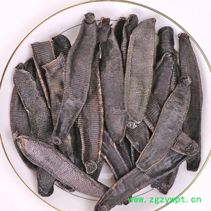 水蛭批发中药材水蛭 优质蚂蟥 规格齐全 足干货水蛭粉农产品加工图3