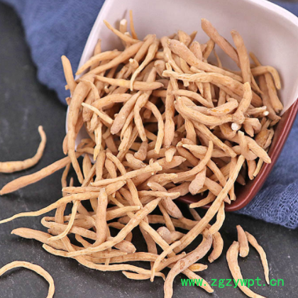 太子参中药材批发零售柘荣孩儿参各种规格太子参承接大货量大价优图2