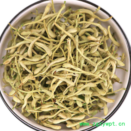 金银花批发零售大货散装金银花 河南封丘产地金银花量大价优图3