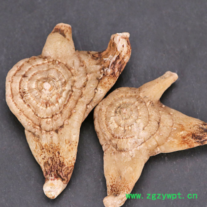 中药材批发白芨 各种规格白芨粉承接订单价优农产品加工白芨