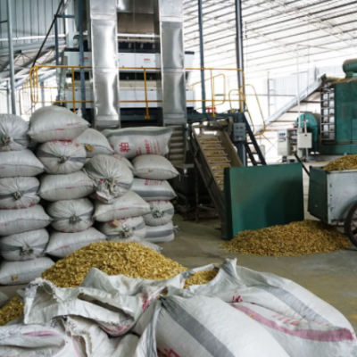 龙山百合 食用百合干 湖南特产龙山百合干片 原产地直供一手货源