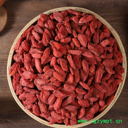 新货批发枸杞 现货现发宁夏枸杞 新货大粒质优原料欢迎选购图2