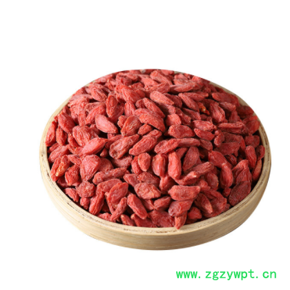 新货批发枸杞 现货现发宁夏枸杞 新货大粒质优原料欢迎选购图3