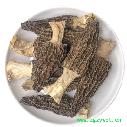 云南特产羊肚菌干货带柄食用厚肉菌食材羊肚新鲜蘑菇菌类批发煲汤图3