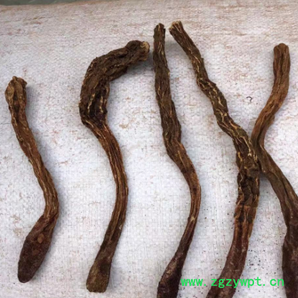 大货批发散装内蒙 锁阳 金锁阳 锁阳粉 各种规格 肉苁蓉图3