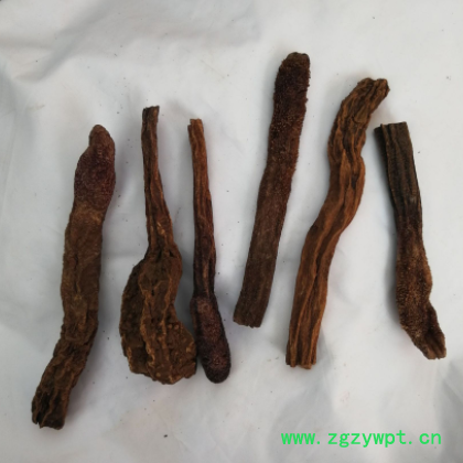 大货批发散装内蒙 锁阳 金锁阳 锁阳粉 各种规格 肉苁蓉图2