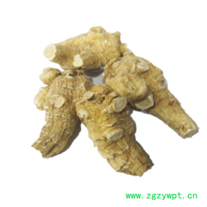 加拿大20克西洋参统粒短支花旗参粒头统货可1切片磨粉图3