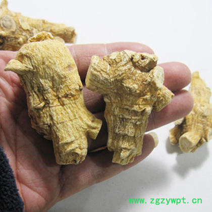 加拿大20克西洋参统粒短支花旗参粒头统货可1切片磨粉图2