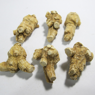 加拿大20克西洋参统粒短支花旗参粒头统货可1切片磨粉