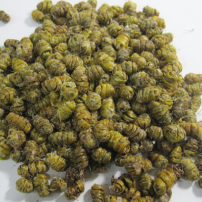 雁荡山铁皮石斛枫斗颗粒胶质好没有渣粘牙